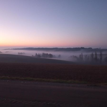 Le Chais Villemur-sur-Tarn Eksteriør billede
