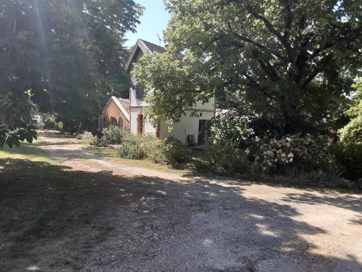 Le Chais Villemur-sur-Tarn Eksteriør billede